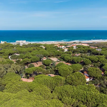 In Pineta Sul Mare Rebirth Hospitality