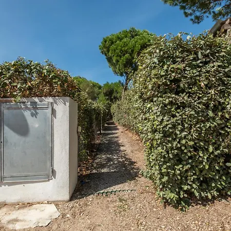 In Pineta Sul Mare Rebirth Hospitality *